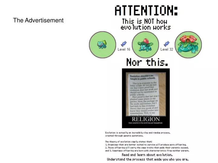 the advertisement
