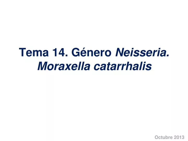 tema 14 g nero neisseria moraxella catarrhalis