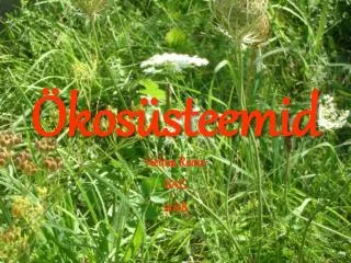 Ökosüsteemid