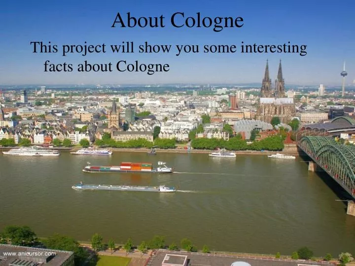about cologne