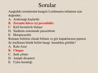 sorular