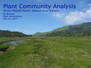 Of the Mitchell Marsh, Salmon River Estuary