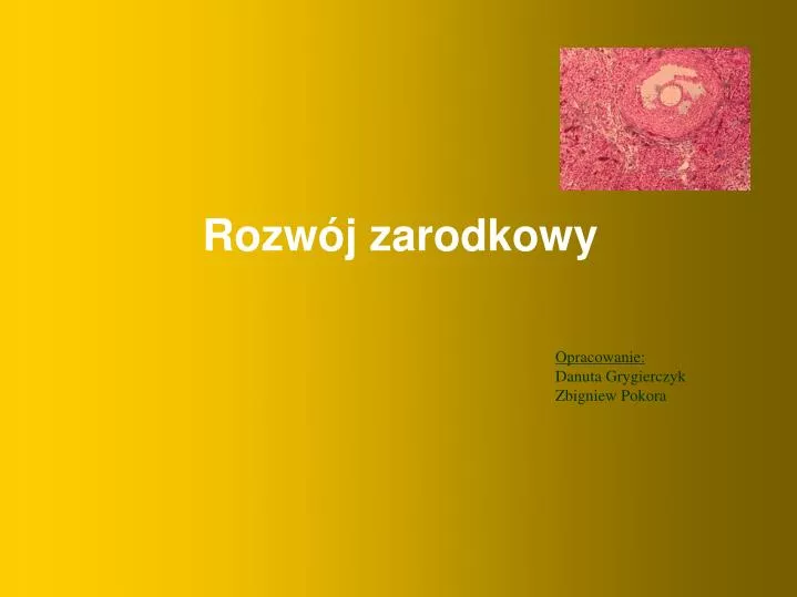 rozw j zarodkowy