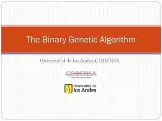 The Binary Genetic Algorithm