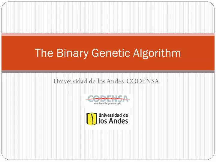 the binary genetic algorithm