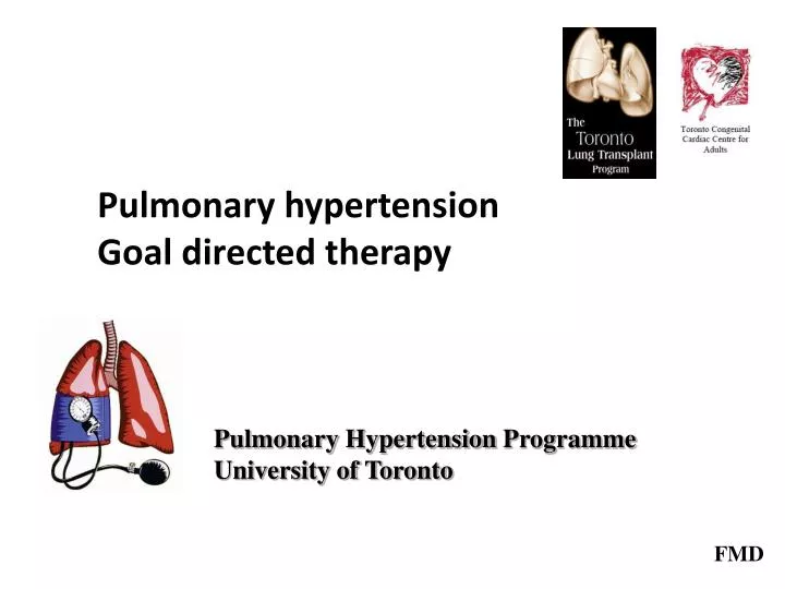 pulmonary hypertension goal directed therapy