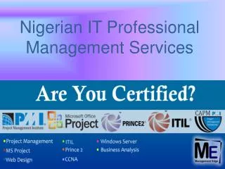 Nigerian IT Professional Management Services