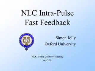 NLC Intra-Pulse Fast Feedback