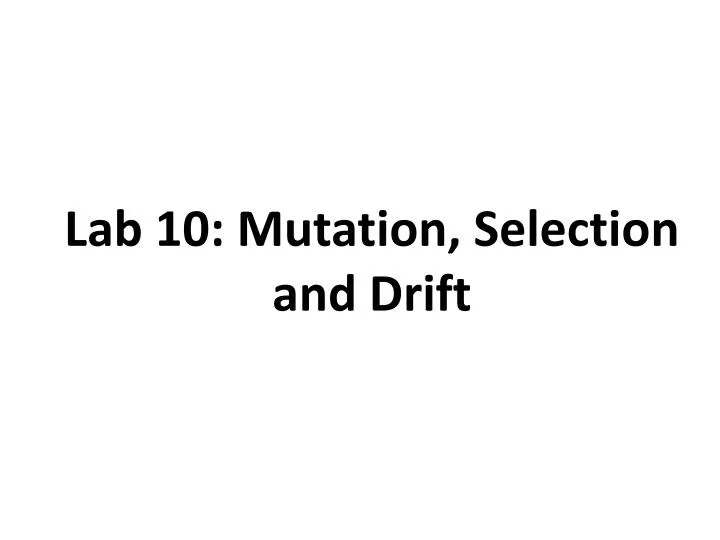 lab 10 mutation selection and drift