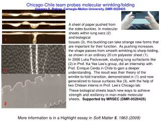 Chicago-Chile team probes molecular wrinkling/folding