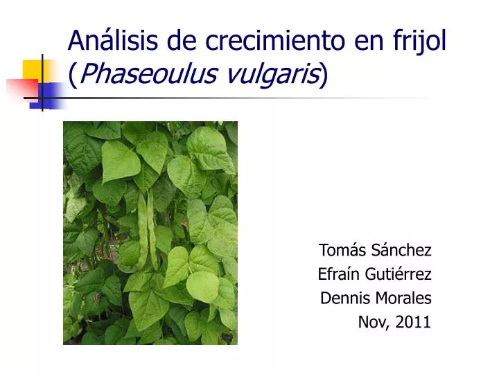 an lisis de crecimiento en frijol phaseoulus vulgaris