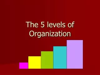 The 5 levels of Organization