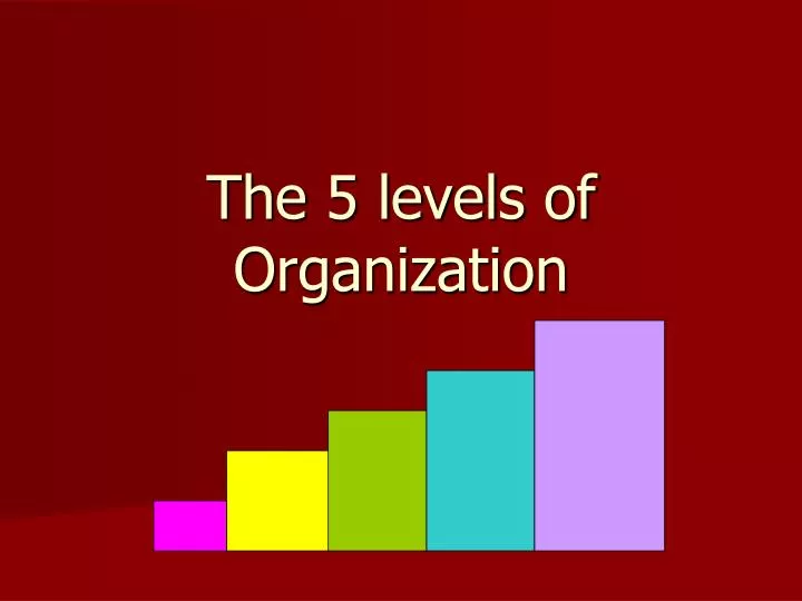 the 5 levels of organization