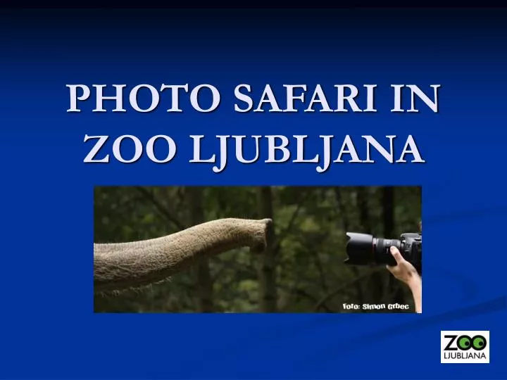 photo safari in zoo ljubljana