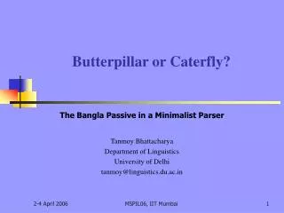 Butterpillar or Caterfly?