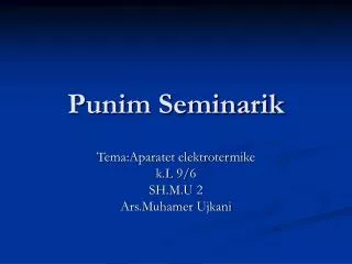 punim seminarik
