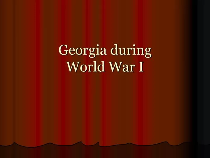 georgia during world war i