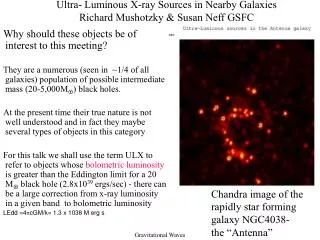 Ultra- Luminous X-ray Sources in Nearby Galaxies Richard Mushotzky &amp; Susan Neff GSFC