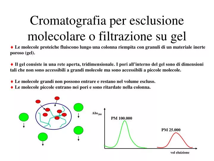 cromatografia per esclusione molecolare o filtrazione su gel