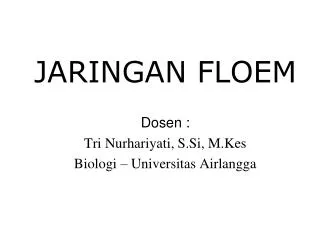 jaringan floem