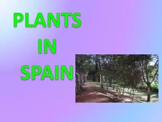 PLANTS IN SPAIN