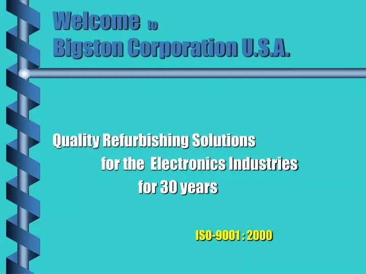 welcome to bigston corporation u s a
