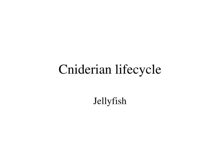 cniderian lifecycle