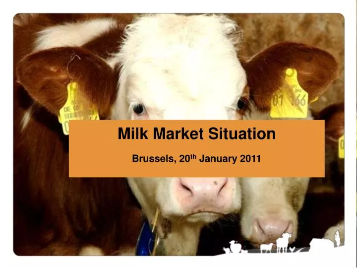 milk market situation brussels 20 th january 2011