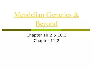 PPT - Chapter 7: Mendelian Inheritance PowerPoint Presentation, Free ...