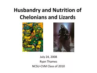 Husbandry and Nutrition of Chelonians and Lizards