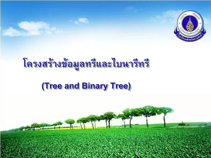tree and binary tree