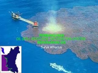oil spill response information system