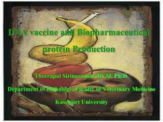 DNA vaccine and Biopharmaceutical protein Production