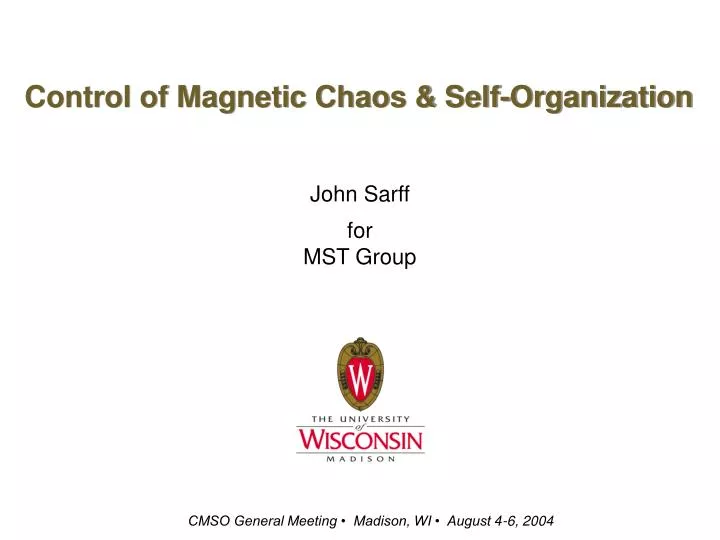 control of magnetic chaos self organization