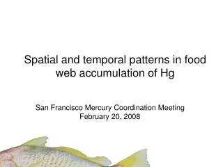 Spatial and temporal patterns in food web accumulation of Hg