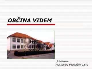ob ina videm