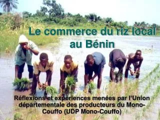 le commerce du riz local au b nin