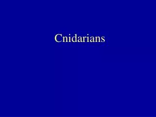 Cnidarians