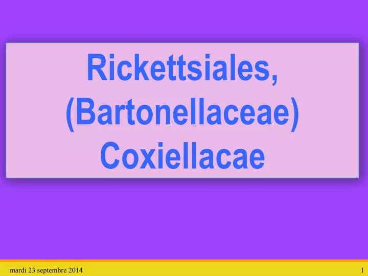 rickettsiales bartonellaceae coxiellacae