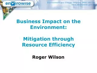 Business Impact on the Environment: Mitigation through Resource Efficiency