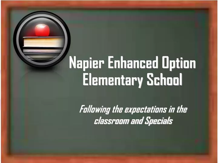napier enhanced option elementary school