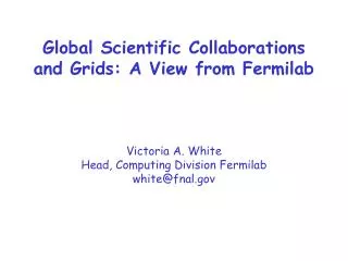 Global Scientific Collaborations and Grids: A View from Fermilab