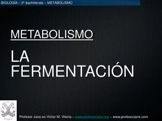 metabolismo