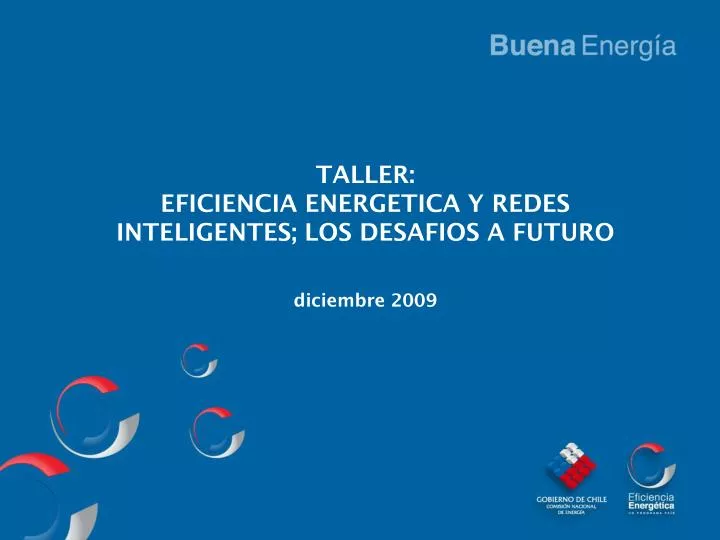 taller eficiencia energetica y redes inteligentes los desafios a futuro diciembre 2009