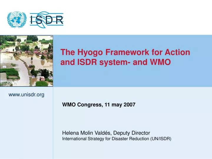helena molin vald s deputy director international strategy for disaster reduction un isdr