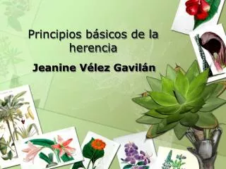 principios b sicos de la herencia