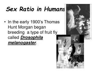 Sex Ratio in Humans :