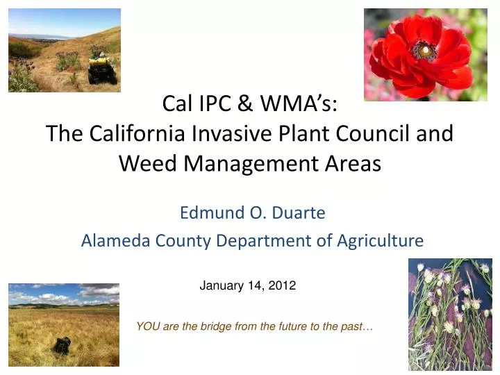 cal ipc wma s the california invasive plant council and weed management areas