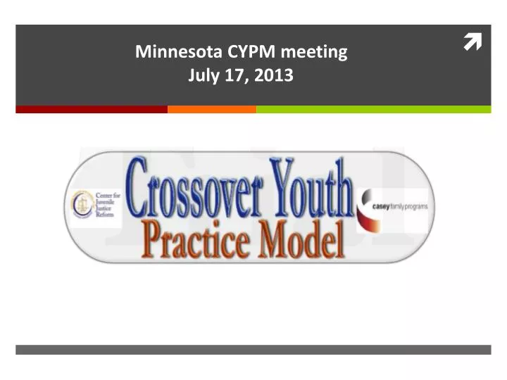 minnesota cypm meeting july 17 2013
