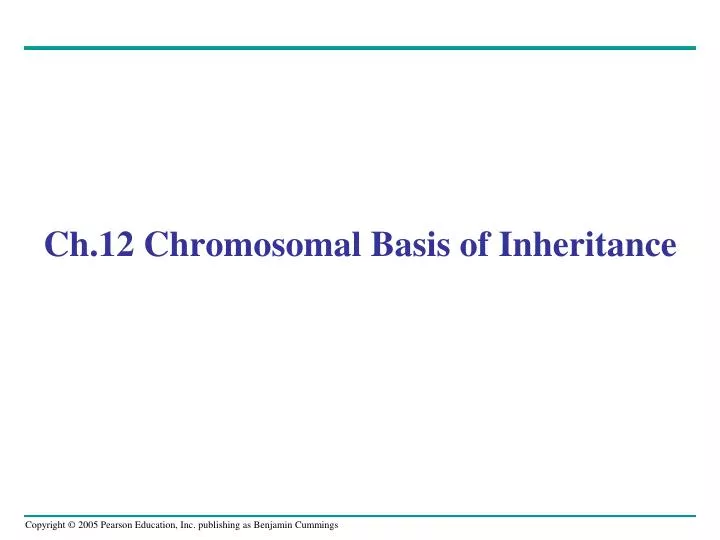 ch 12 chromosomal basis of inheritance